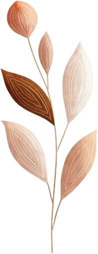 a plant with leaves on it 2.jpg